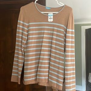Long sleeve brown and baby blue stripped sweater